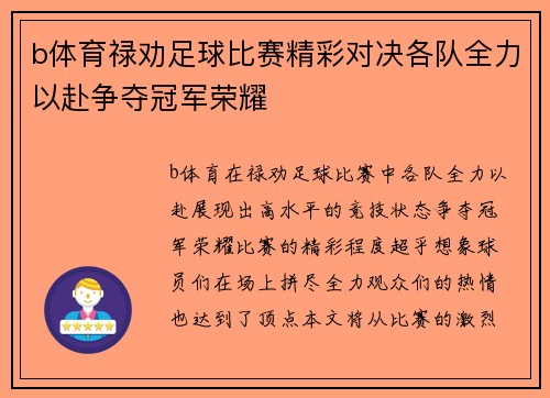b体育禄劝足球比赛精彩对决各队全力以赴争夺冠军荣耀